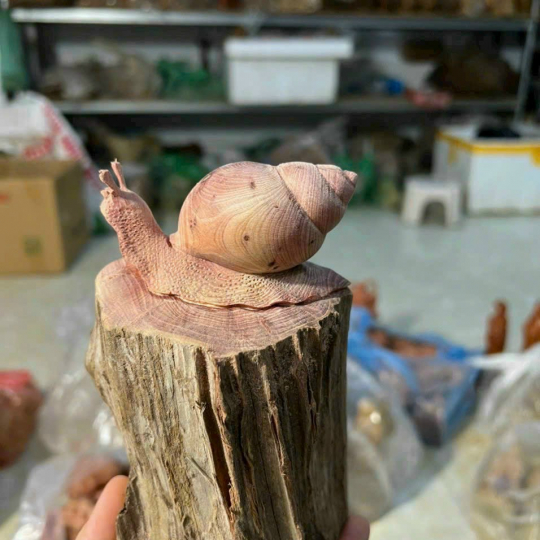 Tượng gỗ con Ốc Sên